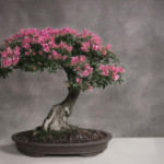 Некоторые идеи малого бизнеса с нуля в домашних условиях