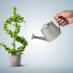 Какой бизнес открыть на 100 тысяч рублей