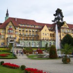 Какой бизнес лучше открыть в Польше