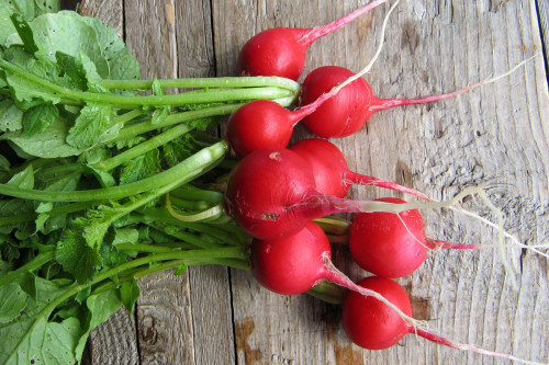 Урожай редиса лежит на деревянном столе